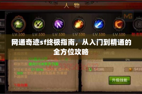 网通奇迹sf终极指南，从入门到精通的全方位攻略