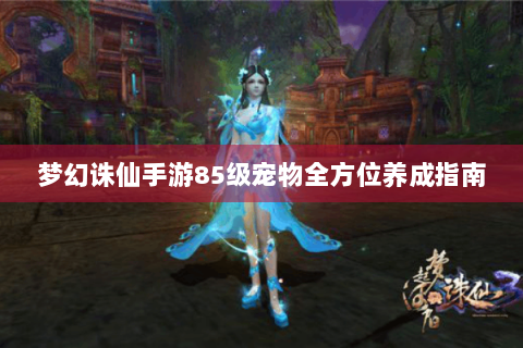 梦幻诛仙手游85级宠物全方位养成指南