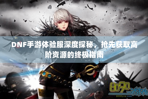 DNF手游体验服深度探秘，抢先获取高阶资源的终极指南
