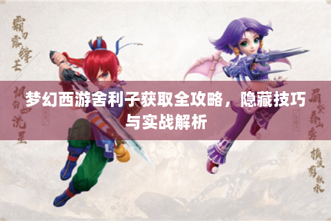 梦幻西游舍利子获取全攻略，隐藏技巧与实战解析
