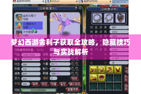 梦幻西游舍利子获取全攻略，隐藏技巧与实战解析