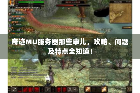 奇迹MU服务器那些事儿，攻略、问题及特点全知道！