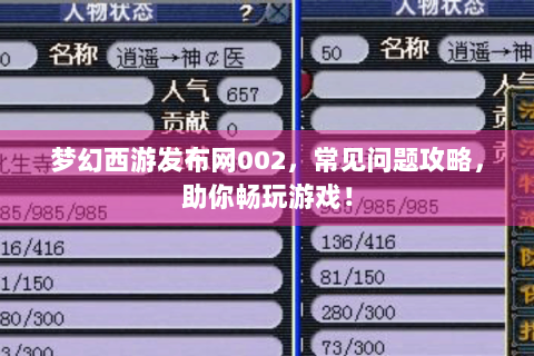 梦幻西游发布网002，常见问题攻略，助你畅玩游戏！