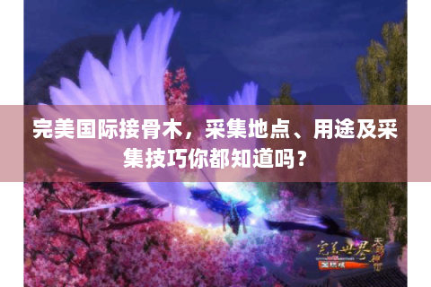 完美国际接骨木，采集地点、用途及采集技巧你都知道吗？