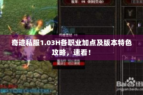 奇迹私服1.03H各职业加点及版本特色攻略，速看！