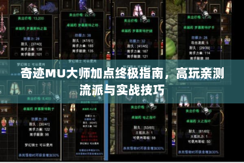 奇迹MU大师加点终极指南，高玩亲测流派与实战技巧