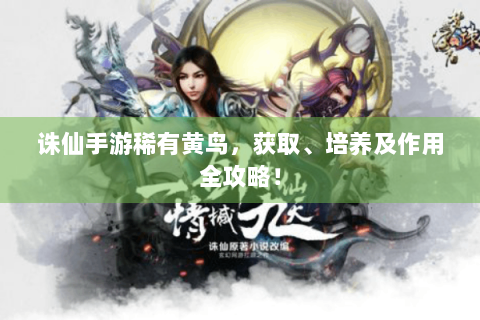 诛仙手游稀有黄鸟，获取、培养及作用全攻略！
