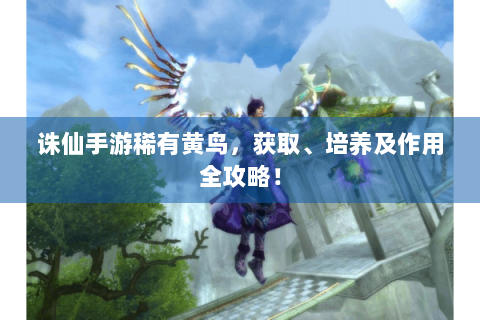 诛仙手游稀有黄鸟，获取、培养及作用全攻略！