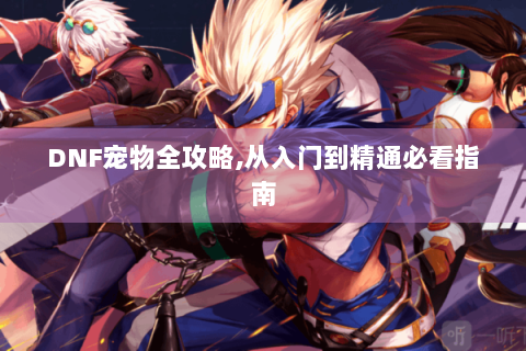 DNF宠物全攻略,从入门到精通必看指南