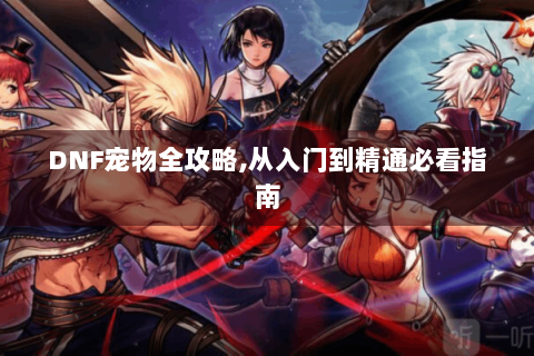 DNF宠物全攻略,从入门到精通必看指南