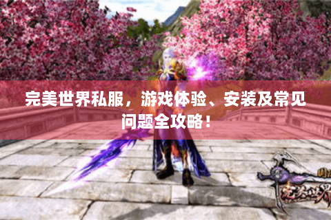 完美世界私服，游戏体验、安装及常见问题全攻略！