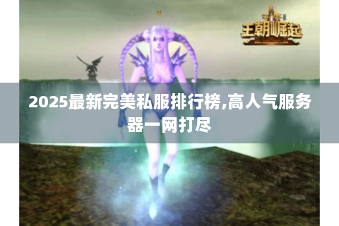 2025最新完美私服排行榜,高人气服务器一网打尽