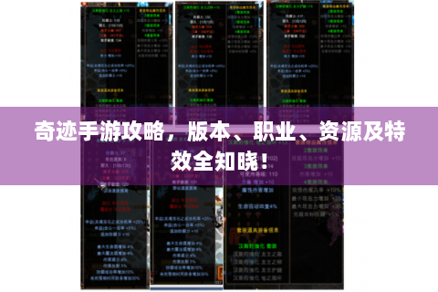 奇迹手游攻略，版本、职业、资源及特效全知晓！
