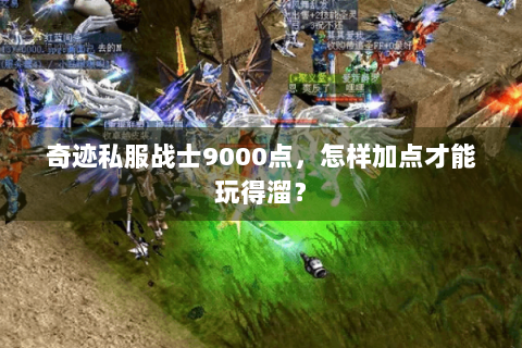 奇迹私服战士9000点，怎样加点才能玩得溜？