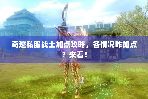 奇迹私服战士加点攻略，各情况咋加点？来看！