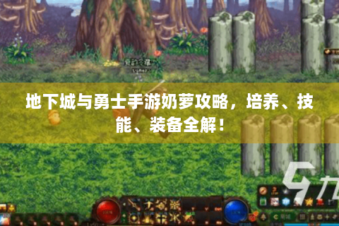 地下城与勇士手游奶萝攻略，培养、技能、装备全解！