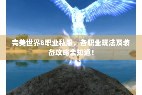 完美世界8职业私服，各职业玩法及装备攻略全知道！