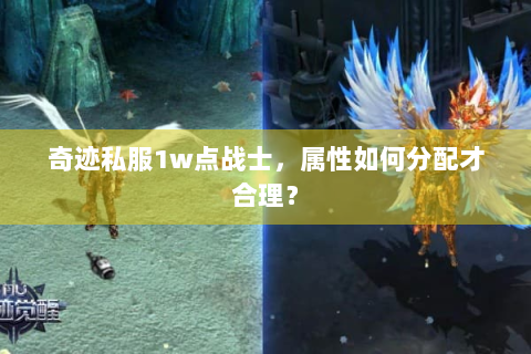 奇迹私服1w点战士，属性如何分配才合理？