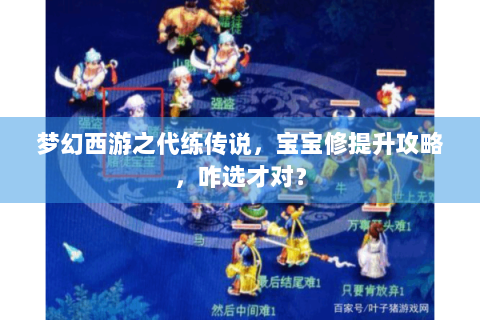 梦幻西游之代练传说，宝宝修提升攻略，咋选才对？
