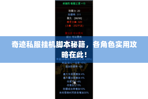 奇迹私服挂机脚本秘籍，各角色实用攻略在此！