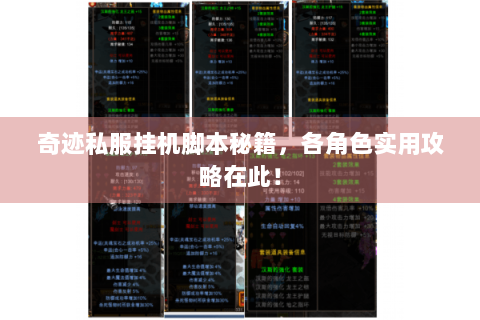 奇迹私服挂机脚本秘籍，各角色实用攻略在此！