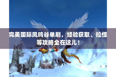 完美国际凤鸣谷单刷，经验获取、拉怪等攻略全在这儿！