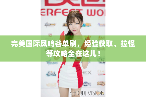 完美国际凤鸣谷单刷，经验获取、拉怪等攻略全在这儿！