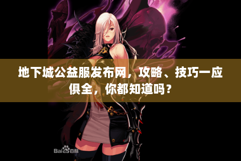 地下城公益服发布网，攻略、技巧一应俱全，你都知道吗？