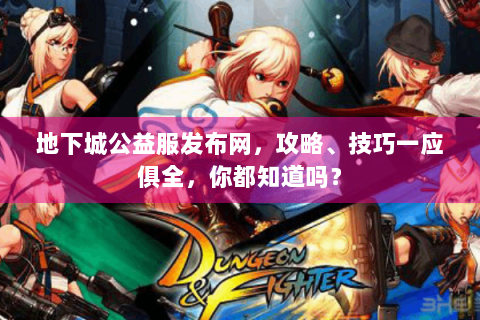 地下城公益服发布网，攻略、技巧一应俱全，你都知道吗？