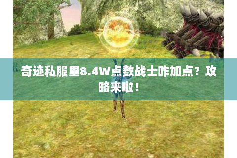 奇迹私服里8.4W点数战士咋加点？攻略来啦！