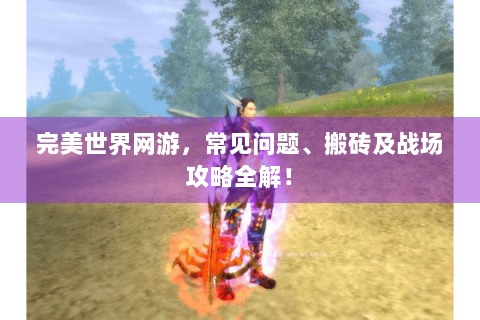 完美世界网游，常见问题、搬砖及战场攻略全解！