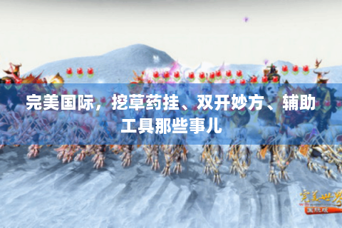 完美国际，挖草药挂、双开妙方、辅助工具那些事儿