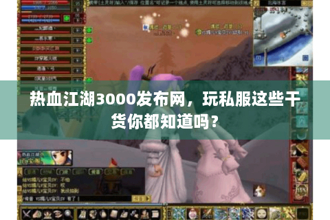 热血江湖3000发布网，玩私服这些干货你都知道吗？