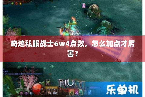 奇迹私服战士6w4点数，怎么加点才厉害？