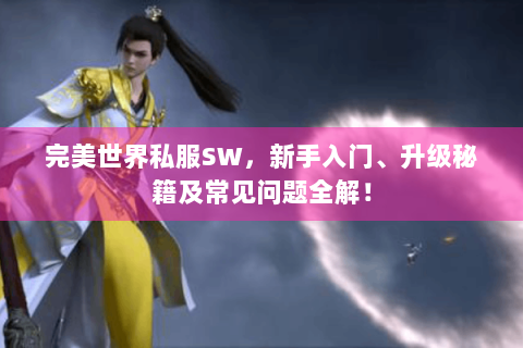 完美世界私服SW，新手入门、升级秘籍及常见问题全解！
