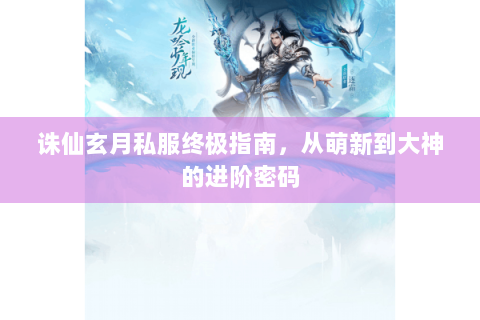 诛仙玄月私服终极指南，从萌新到大神的进阶密码
