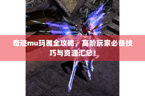 奇迹mu玛雅全攻略，高阶玩家必备技巧与资源汇总！