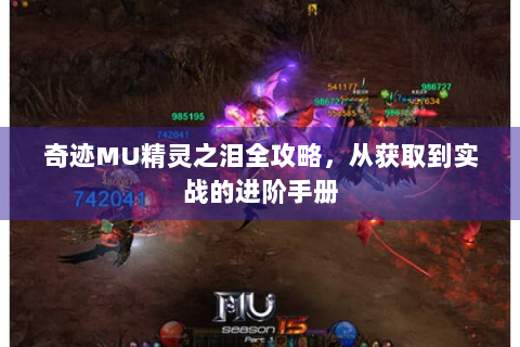 奇迹MU精灵之泪全攻略，从获取到实战的进阶手册