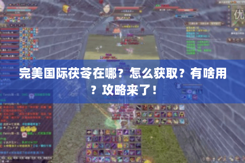 完美国际茯苓在哪？怎么获取？有啥用？攻略来了！