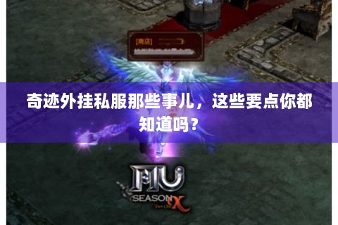 奇迹外挂私服那些事儿，这些要点你都知道吗？