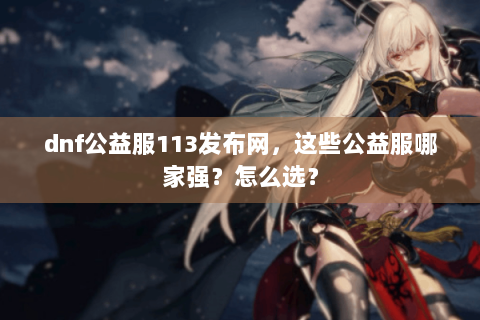 dnf公益服113发布网，这些公益服哪家强？怎么选？