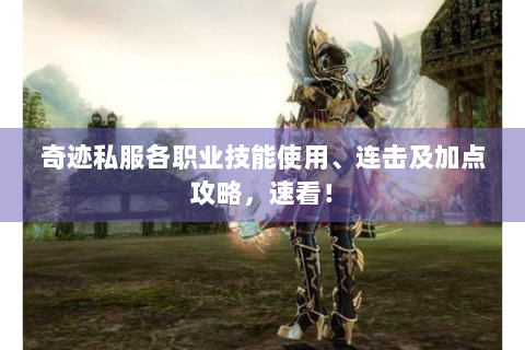 奇迹私服各职业技能使用、连击及加点攻略，速看！