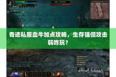 奇迹私服血牛加点攻略，生存强但攻击弱咋玩？