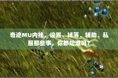奇迹MU内挂，设置、掉落、辅助、私服那些事，你都知道吗？