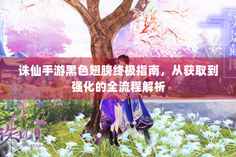 诛仙手游黑色翅膀终极指南，从获取到强化的全流程解析