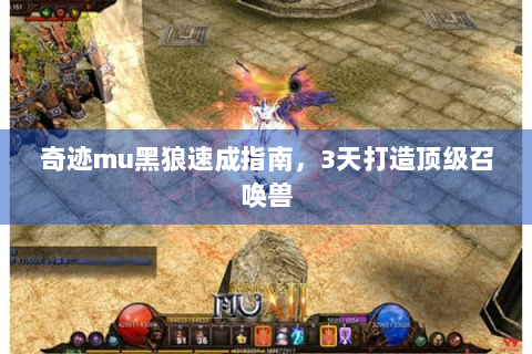 奇迹mu黑狼速成指南，3天打造顶级召唤兽