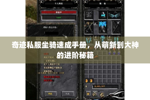 奇迹私服坐骑速成手册，从萌新到大神的进阶秘籍