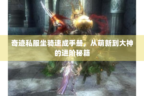 奇迹私服坐骑速成手册，从萌新到大神的进阶秘籍