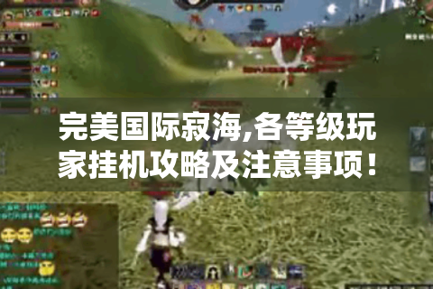 完美国际寂海,各等级玩家挂机攻略及注意事项！