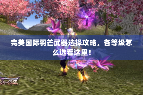 完美国际羽芒武器选择攻略，各等级怎么选看这里！